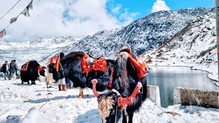 02c8db42b50171d04b5383a16c0e31d5