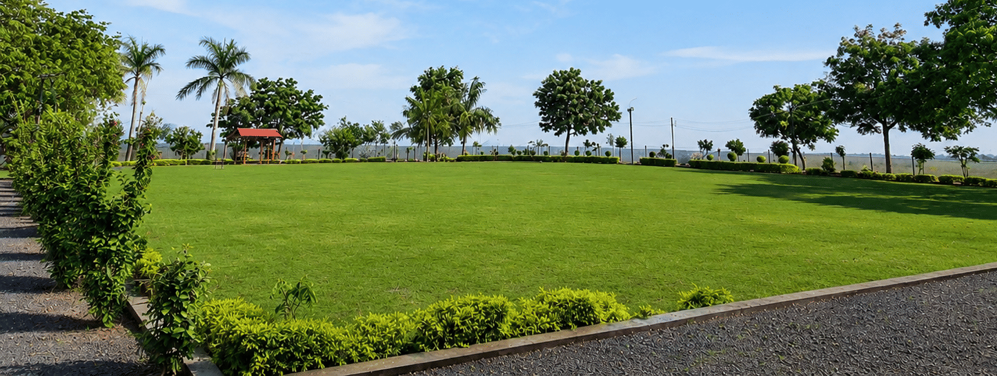 Wedding lawn