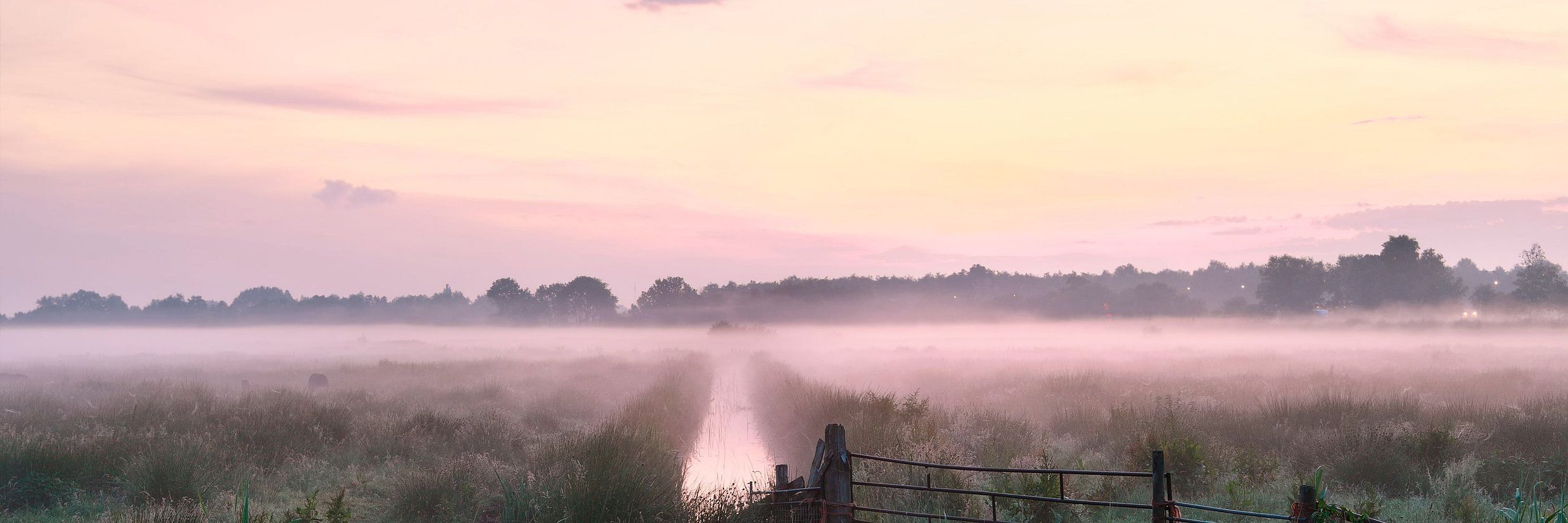 Mist and Grasslands: Experiencing Tadiandamol in the Clouds 