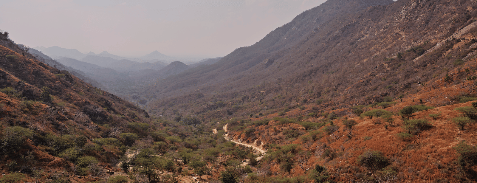 An overview of the aravali range of mountains, near Kamli Ghat, with golden coloured soil and less vegetation on them with a clear sky in the background