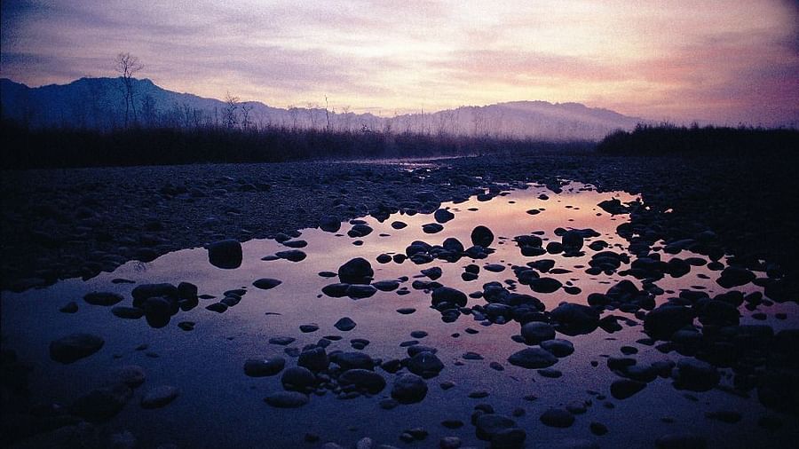 An image of a stream surrounded by plants, trees, and mountains
