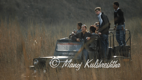 A group of tourists in an open-top safari vehicle driving through tall grassy terrain.