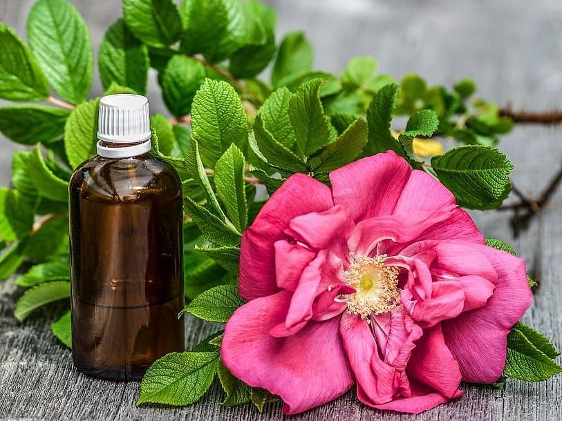 A bottle of essential oil with a flower beside it.