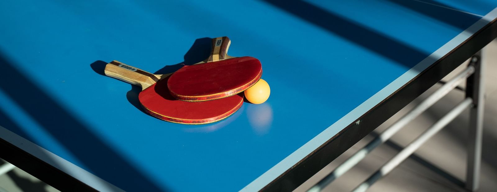 Table Tennis 2