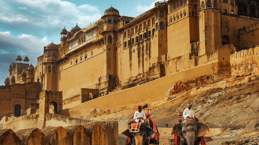 2 elephants carry tourists up a steep path toward the massive, imposing walls of the Amer Fort.