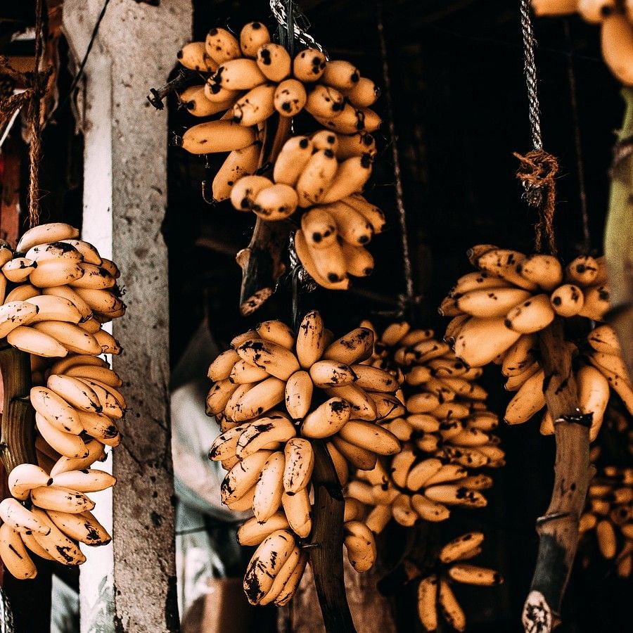 bunches of bananas