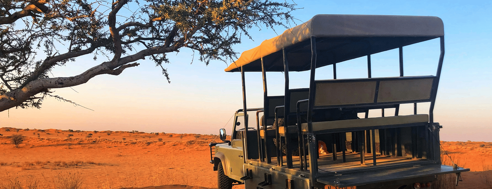 An open jeep parked under a large tree in a dry safari landscape.