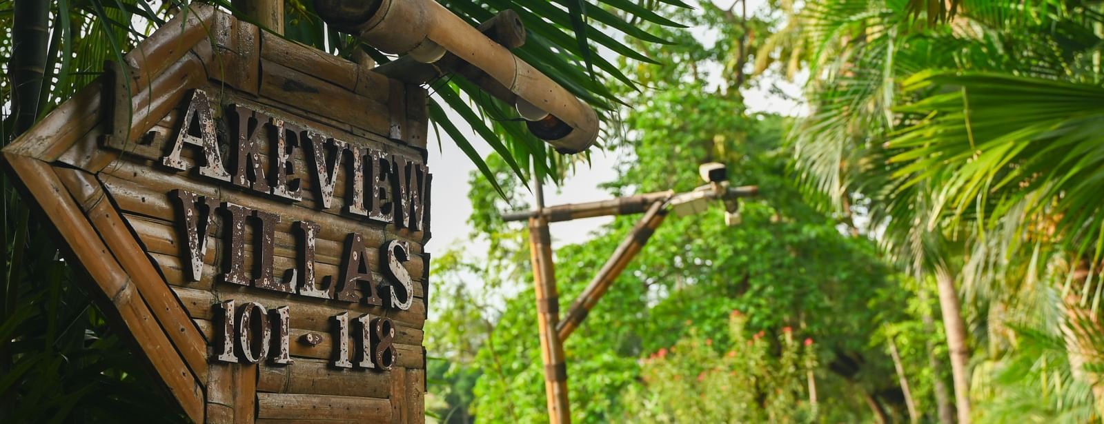 Lush green pathway leading to the Lake View Villa at Vedic Village Spa Resort, lined with dense vegetation on either side.