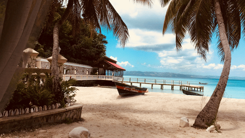 palm trees at a beach
