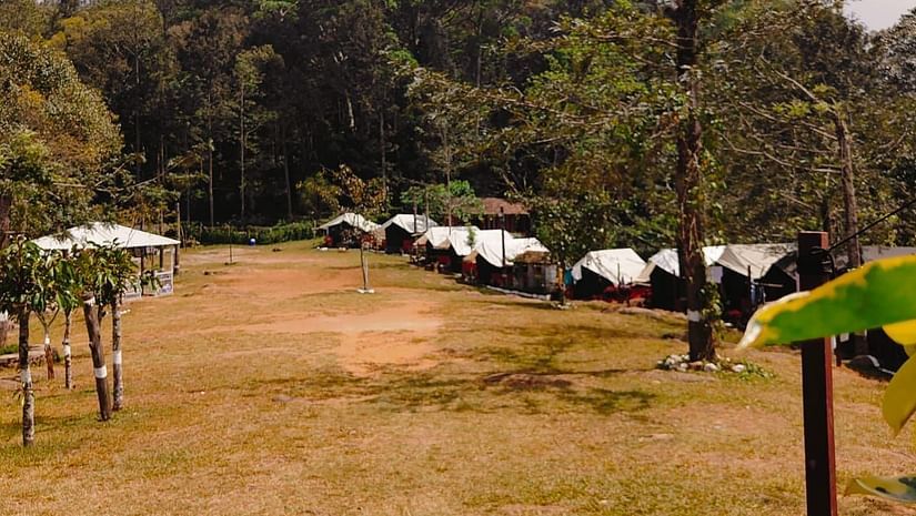 Yercaud 15