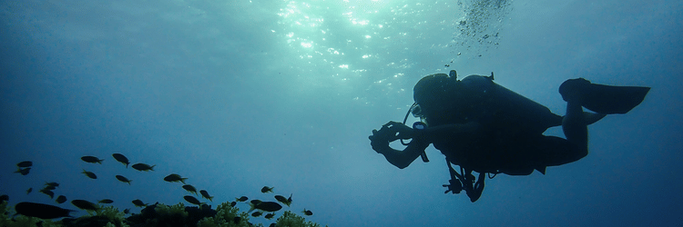 Scuba dive under water