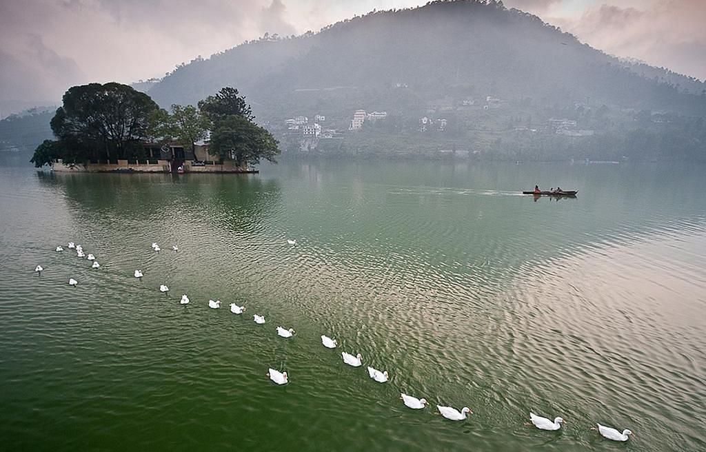 An image of a river where ducks are swimming towards a small island and it also has a backdrop image of a hill