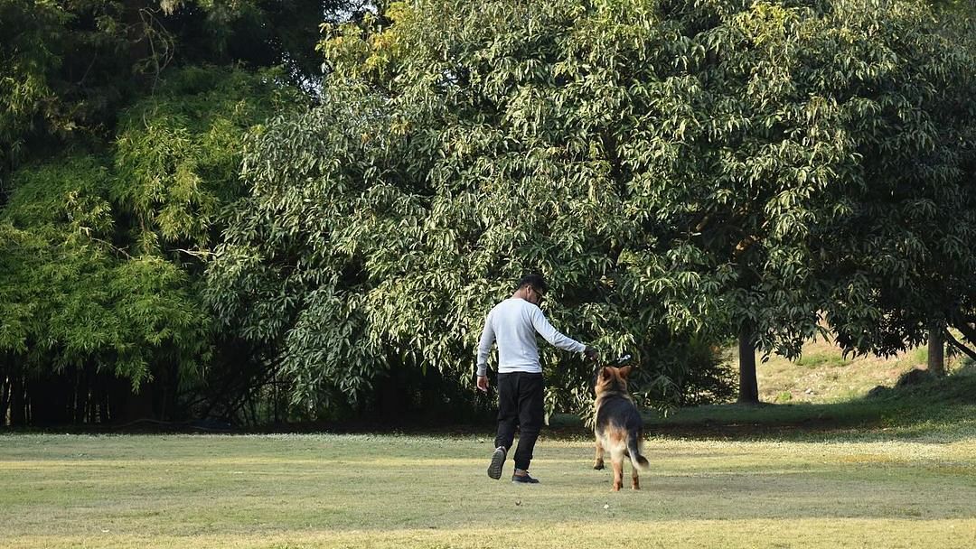 A dog playing with a man on a grass field at the Sylvan Retreat, Dehradun.
