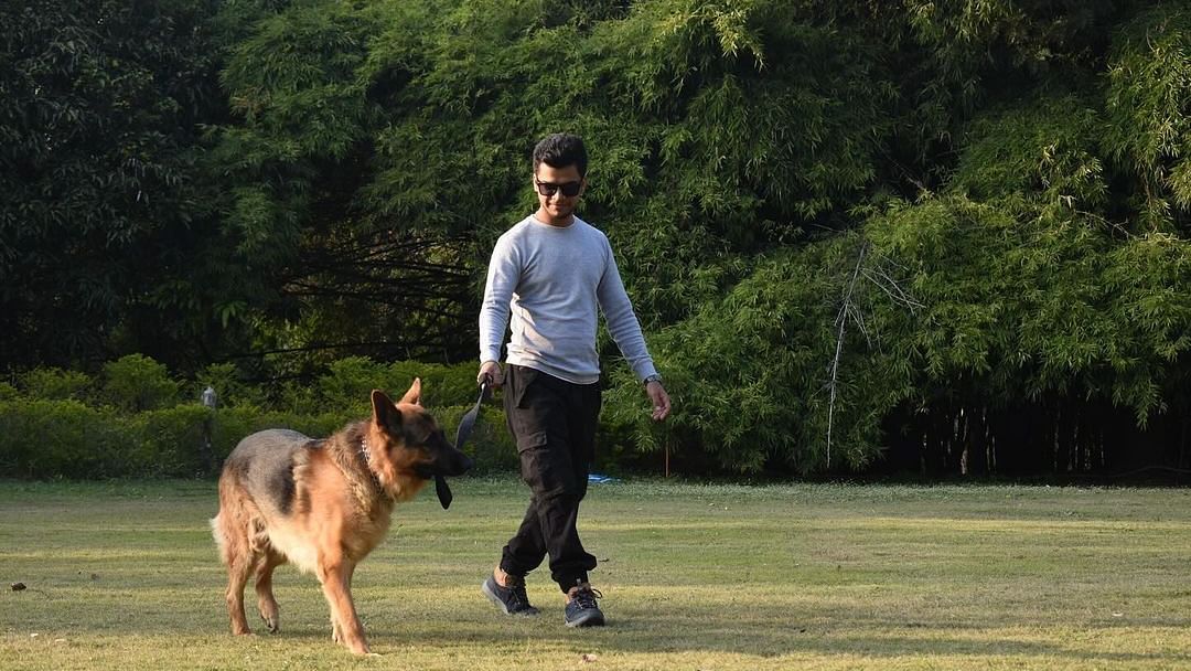 A man holding the leash of a dog walking in a grass field at the Sylvan Retreat, Dehradun.
