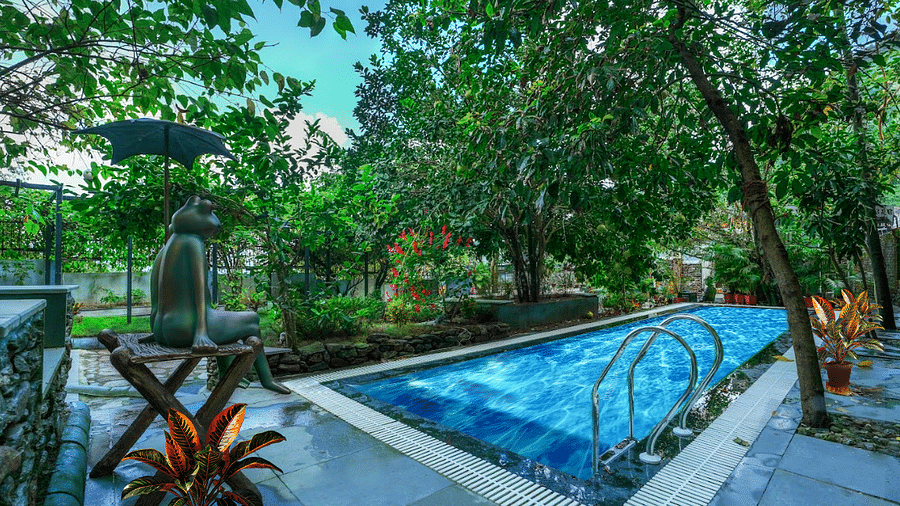 swimmimg pool bougainvillea
