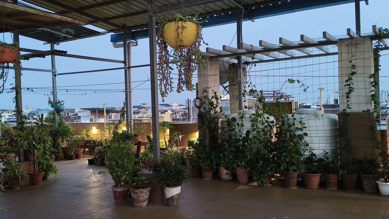 Rooftop terrace with numerous potted plants arranged along the edges of the open space at Jaypore360 Homestay in Jaipur.