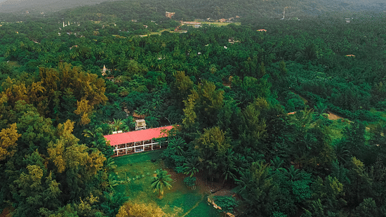 Lotus Eco beach resort, nestled in the forest