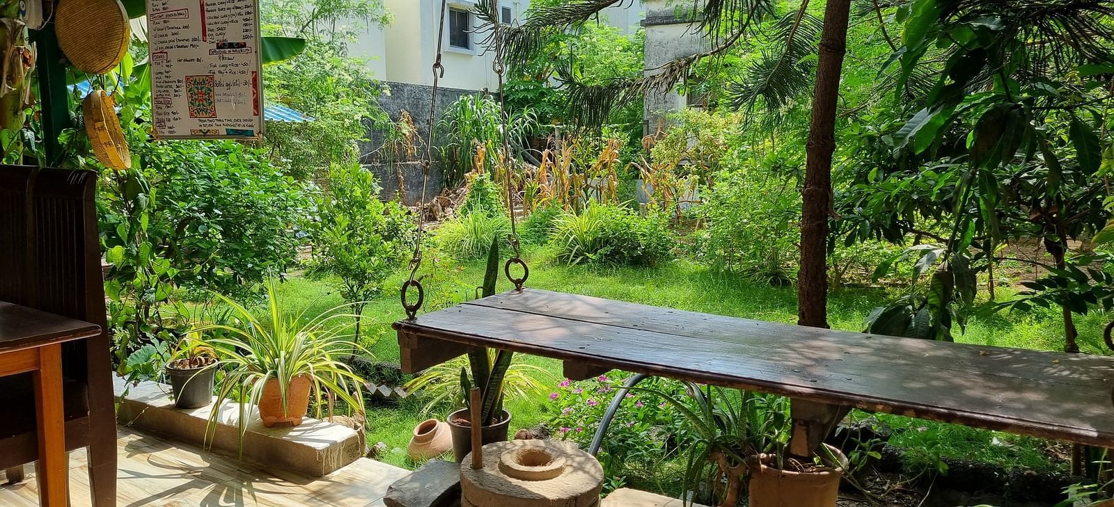 A lush green garden with several bushes and plants at Dream Vision Guest House with a wooden bench overlooking the scenery.
