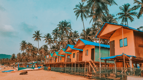 rows of shacks and trees at a beach