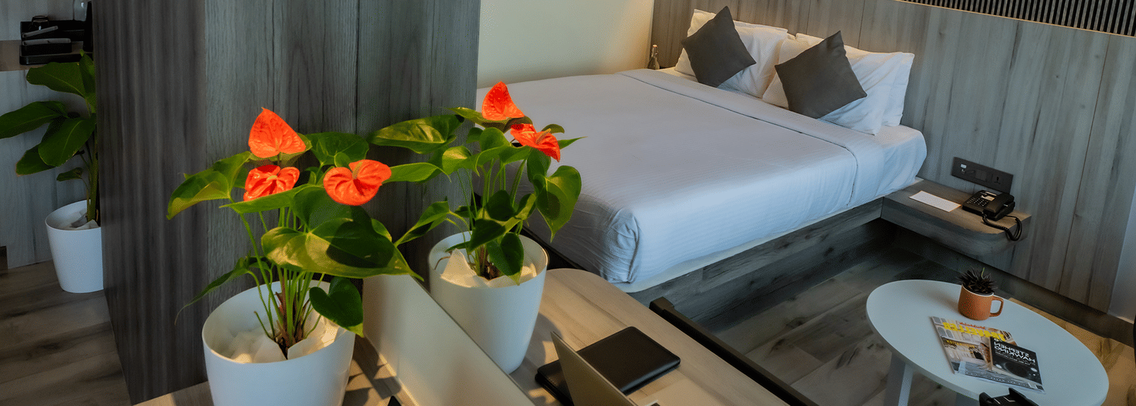 ACMY-Standard-Room-1