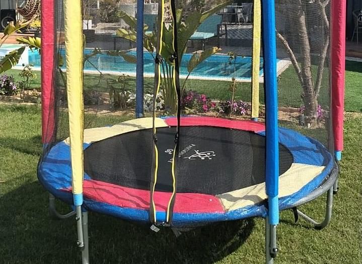A trampoline with a safety net placed on a well-maintained green lawn under the open sky.