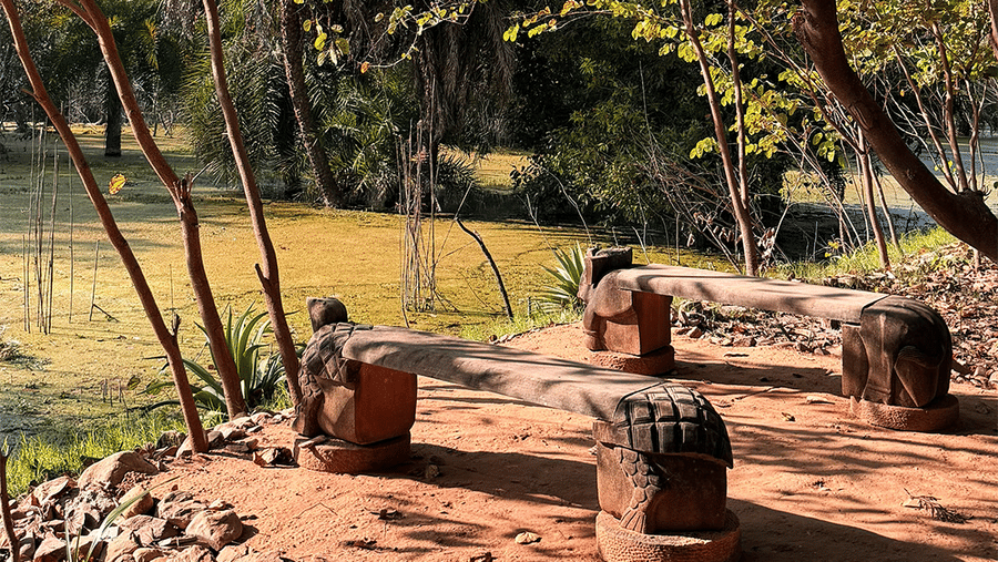 Fishing at Surya Bagh, Experiences