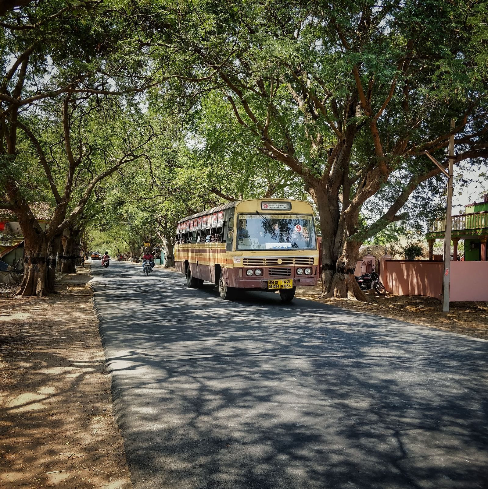 a bus travelling on a road with trees covering the entire road 