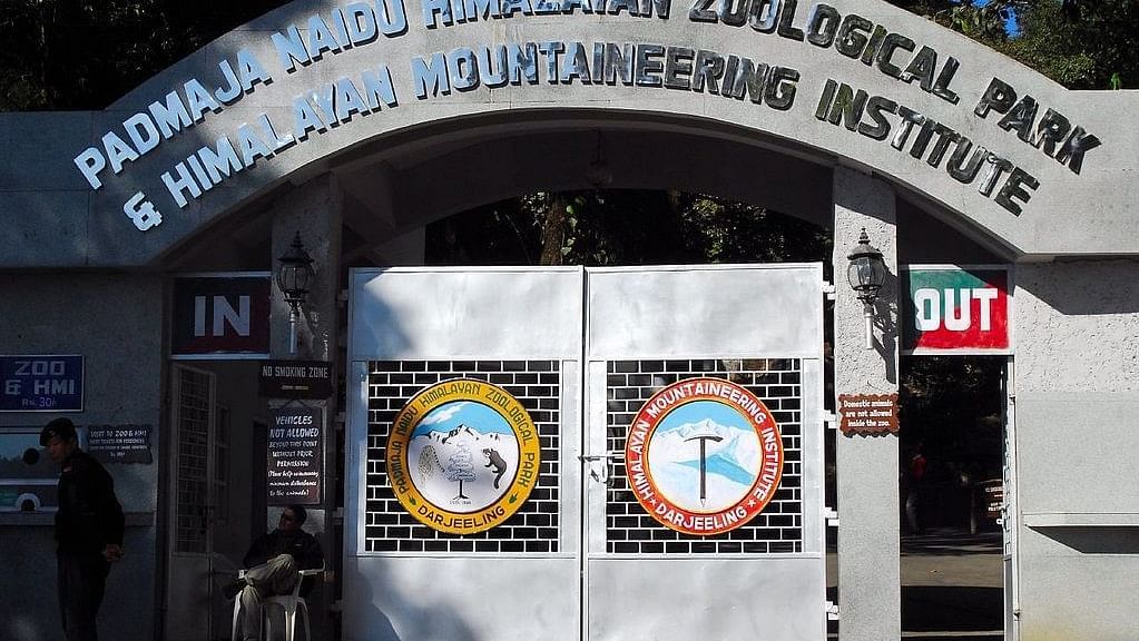 Himalayan Mountaineering Institute f02465f1