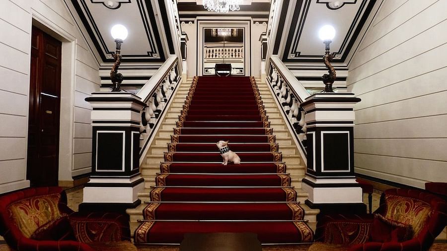 saint-james-paris-lobby