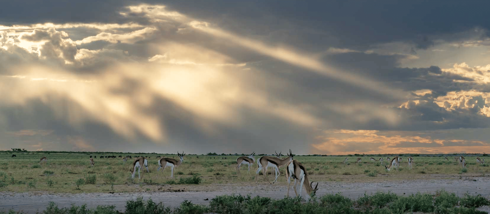 SUNRISE AT THE PAN