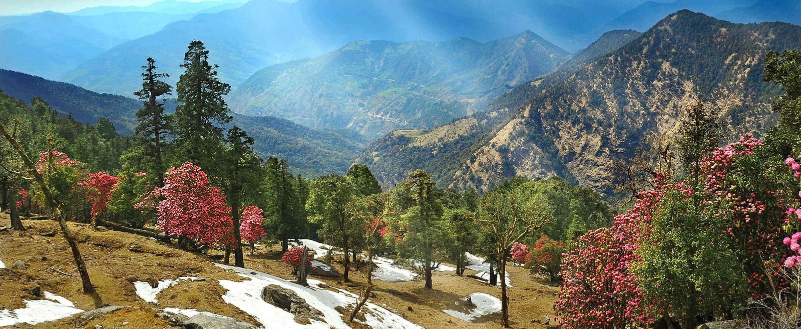 Almora