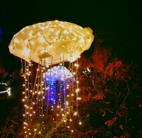 An illuminated jellyfish-shaped light decoration against a dark background.