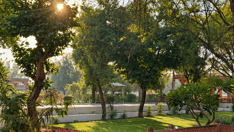 Outdoor Landscape & Gardens, Umaid Palace Garden Patio-UPD-Warm Morning Garden with Sandstone Railings