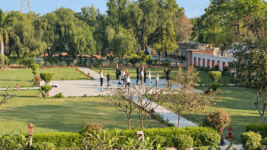 Yoga -UPD-Yoga at Garden Through a Scalloped Arch