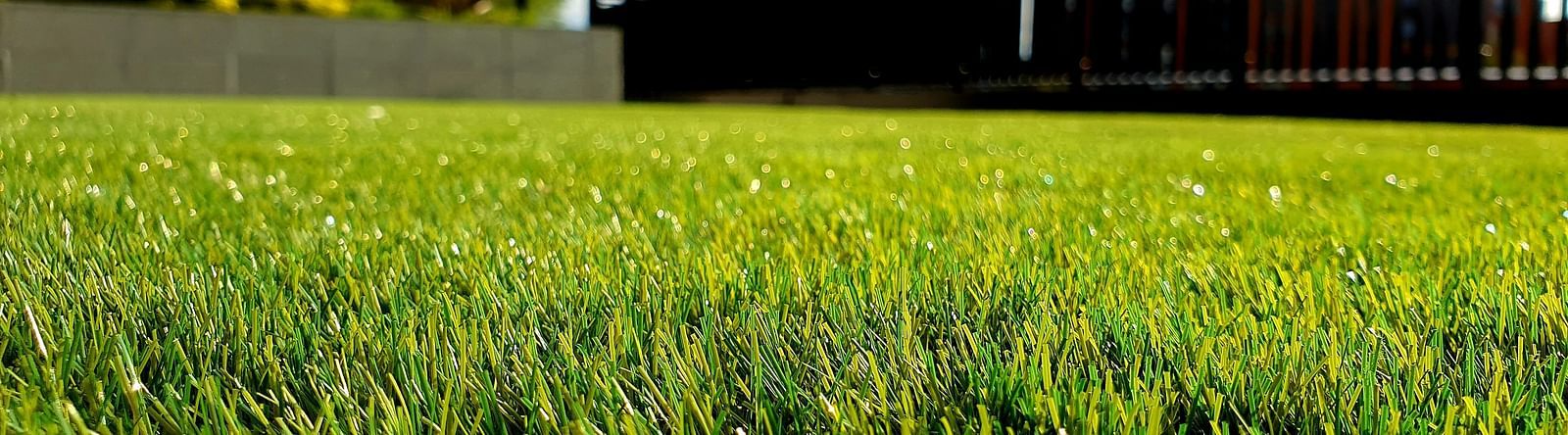 a close up shot of a manicured lawn area with a building in the background