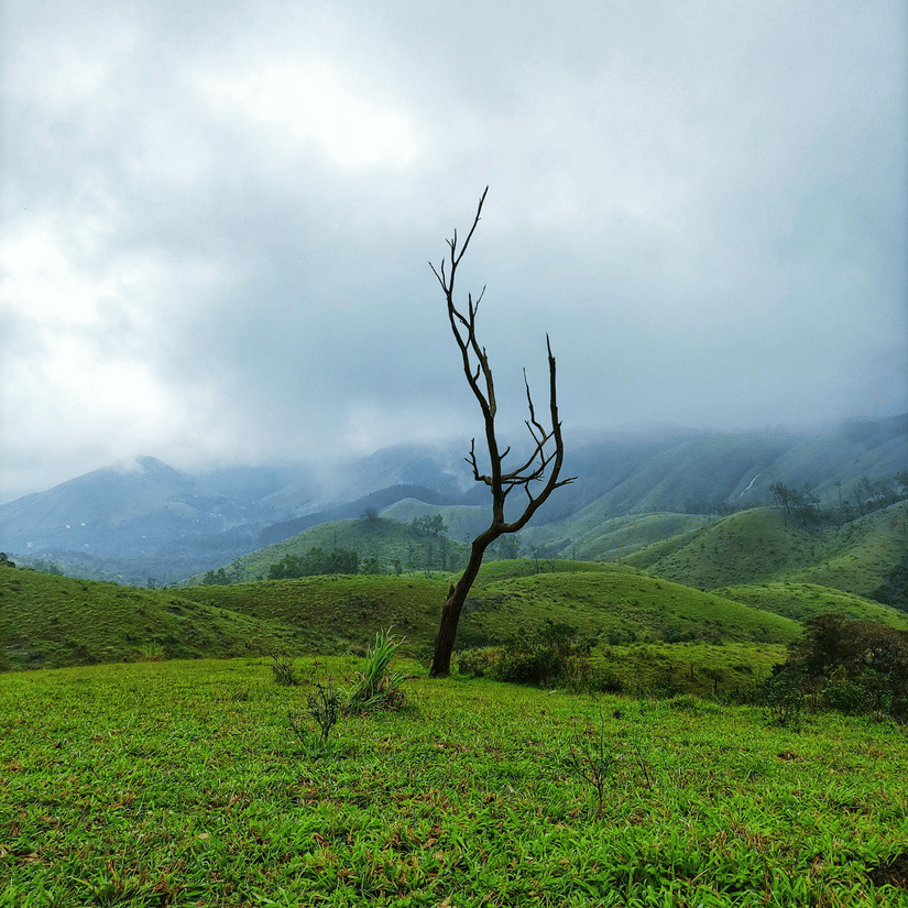 A view of the picturesque meadows - one of the best Vagamon places to visit, with it's rolling hills and the fog in the distance.