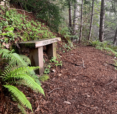 bench (2)