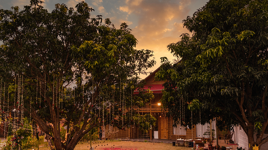 Decoration of trees in front of the Pinewood Cottage at The Sylvan Retreat, Dehradun.