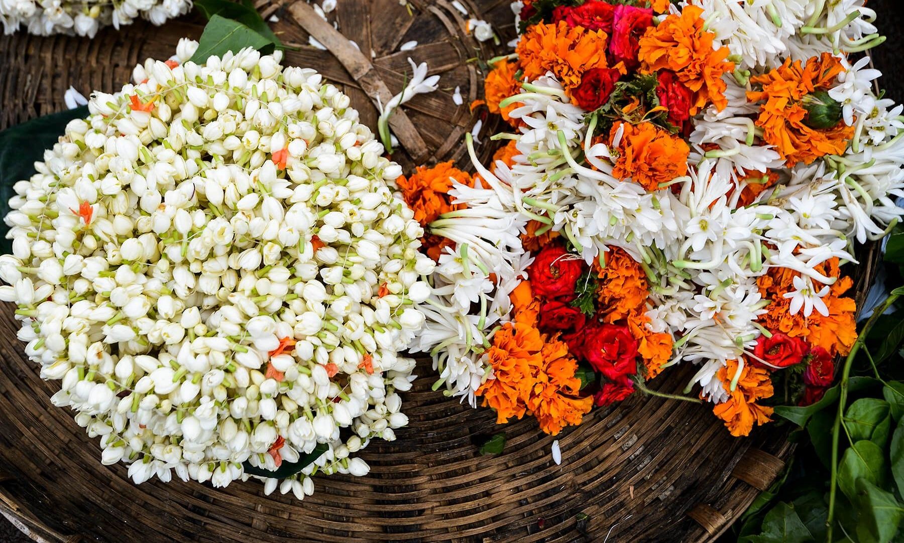 Close-up of jasmine and marigold flowers in a basket.