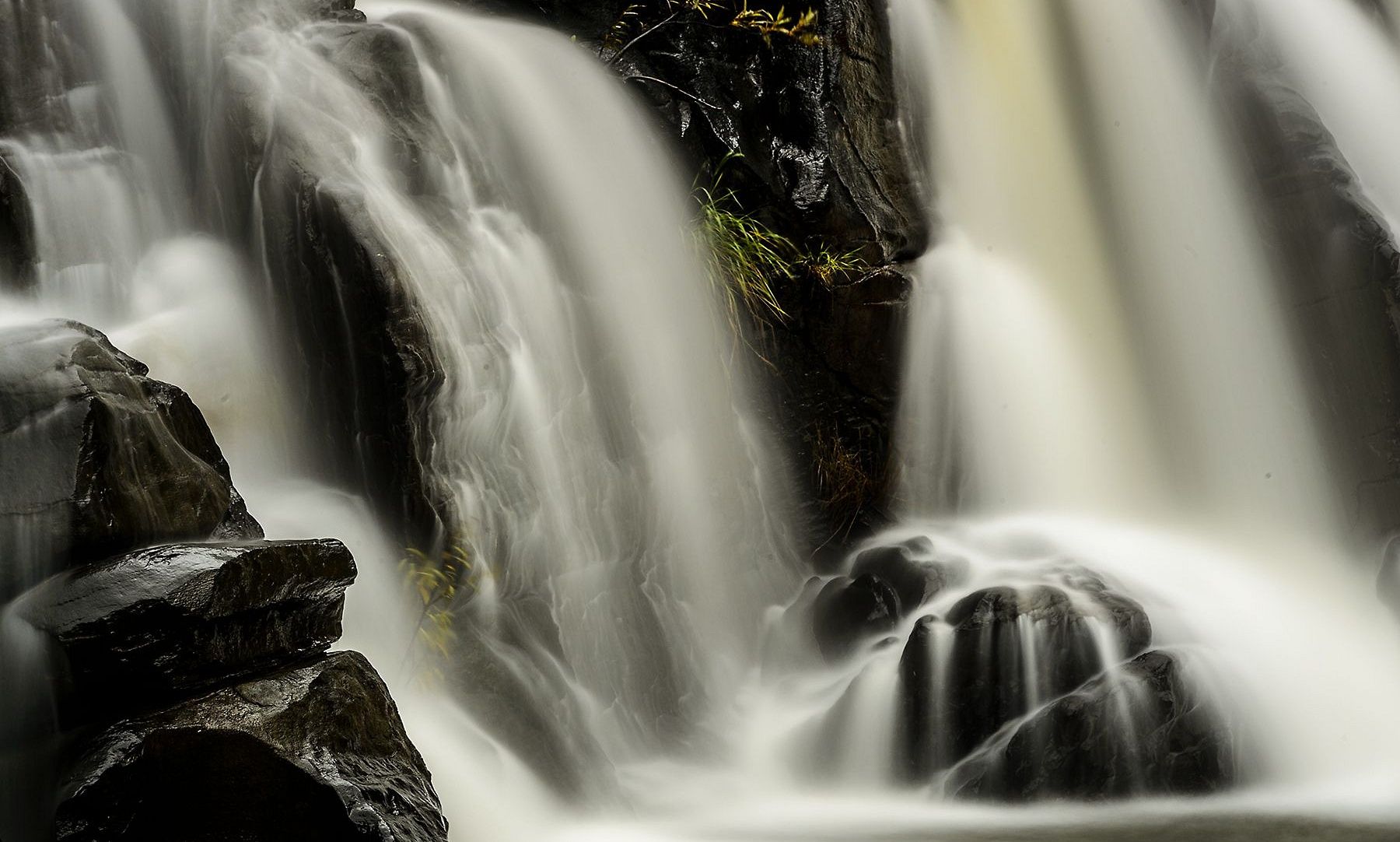 Orange-County-Article-A-Photographers-Guide-to-Coorg-part-II-by-Prathap-Photography-004
