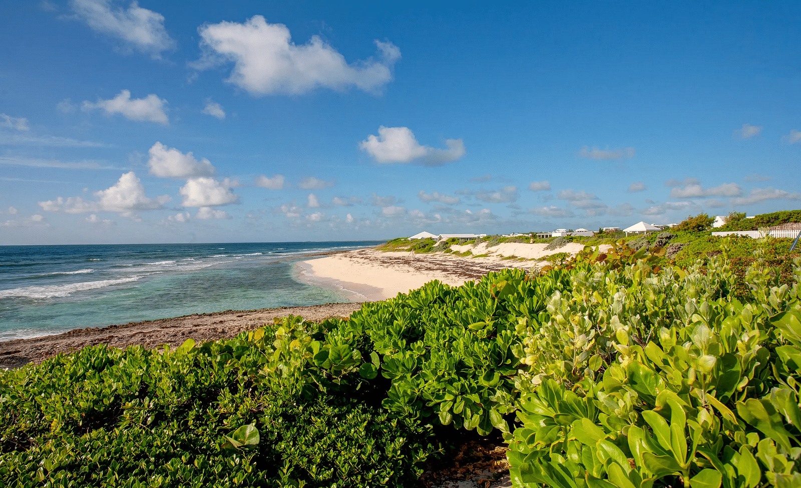 View of the ocean and shoreline with dense greenery | Abaco Inn