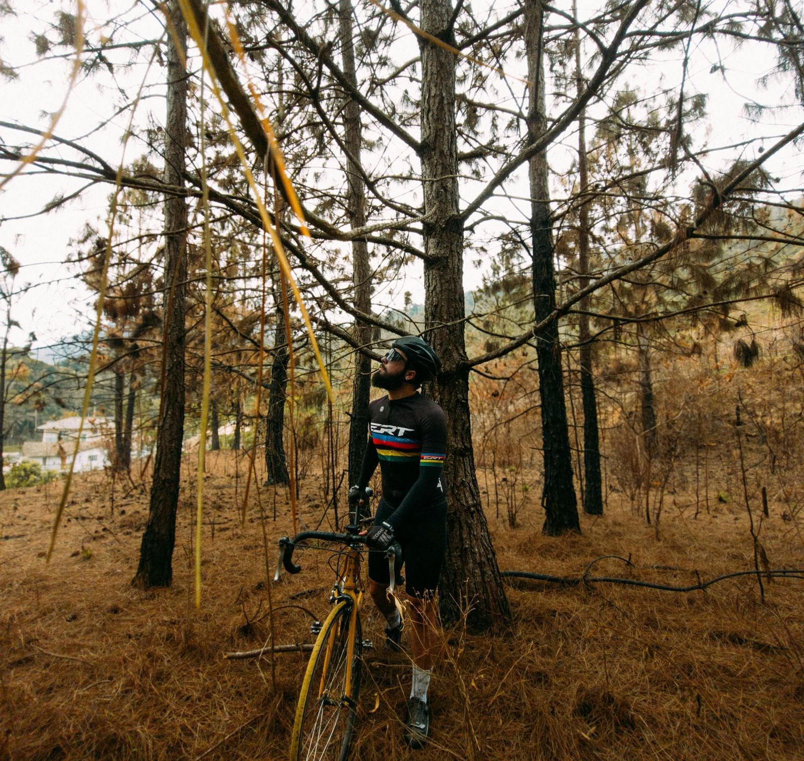 A person with a mountain bike looking around him standing amid tall trees.