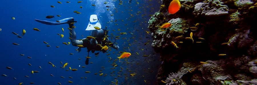 A person scuba diving underwater