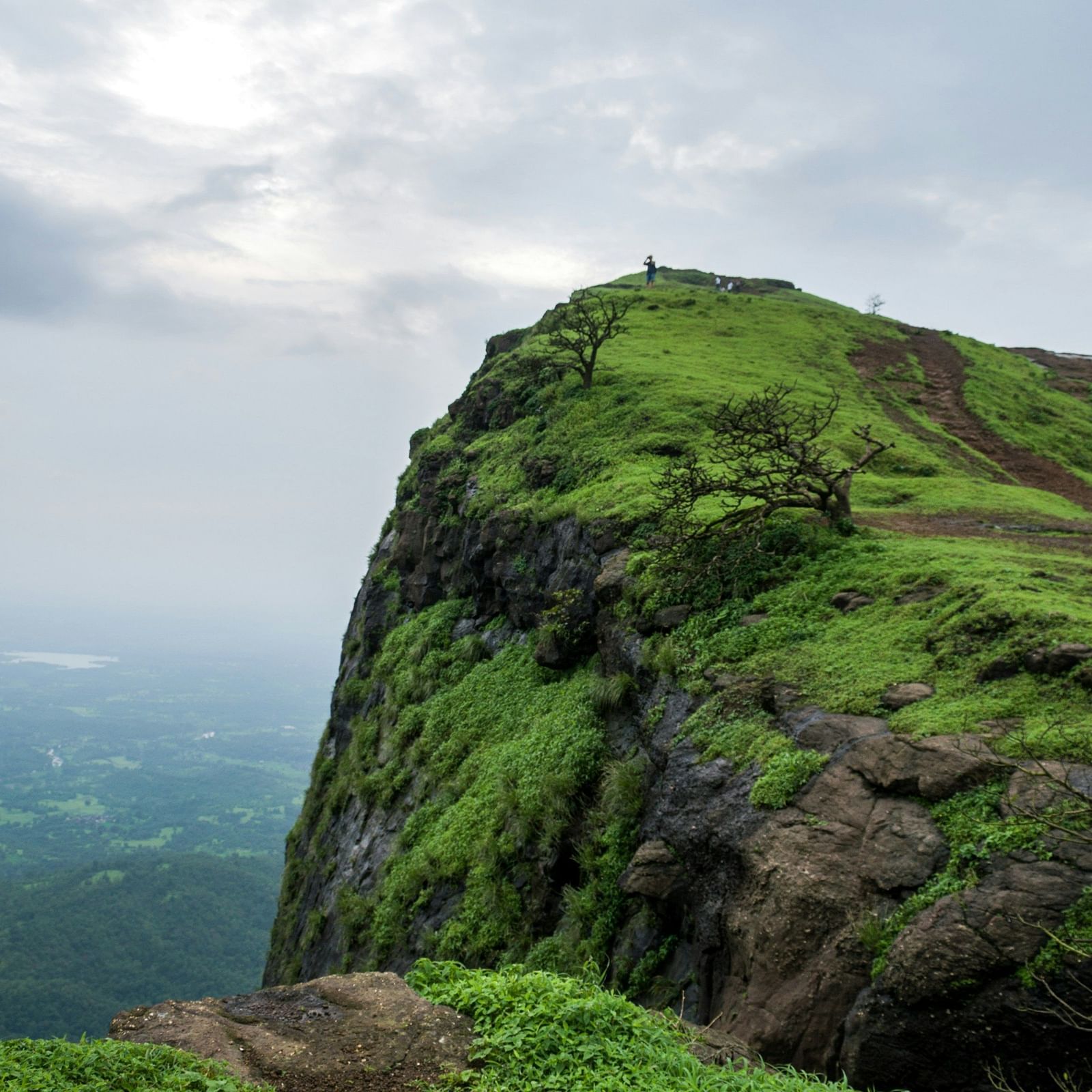 the lush peak of a hill