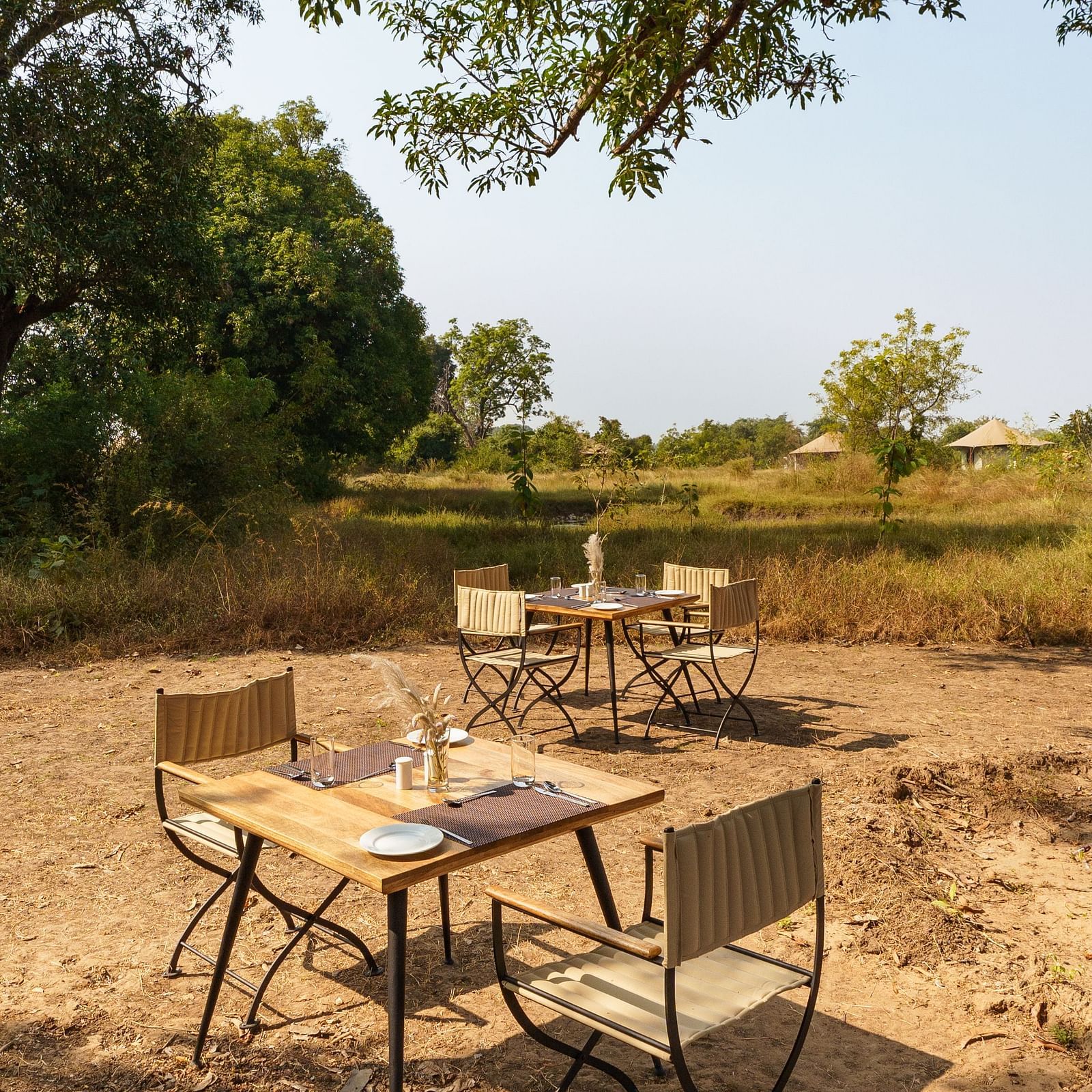 Outdoor dining among the trees at Trees N Tigers, Tadoba.