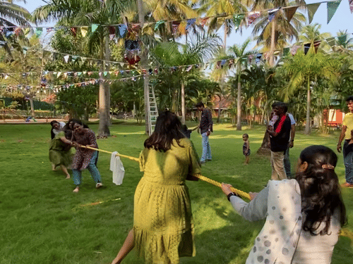  A group of people playing tug-of-war on a lush green lawn surrounded by tall palm trees.