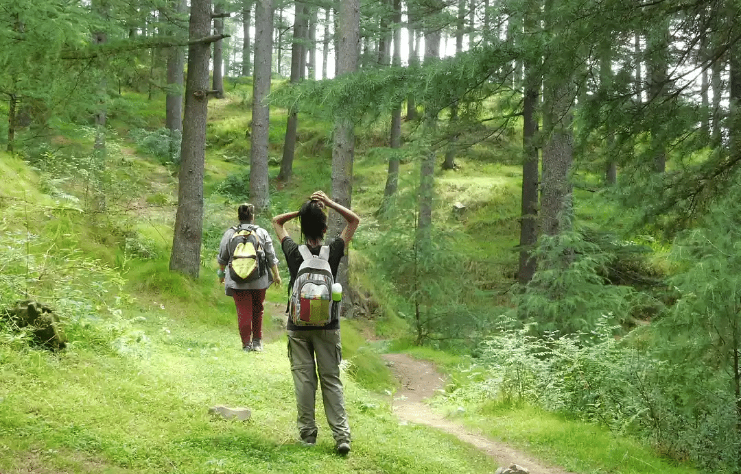 two girls trekking through a lush forest