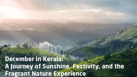 december-in-kerala1