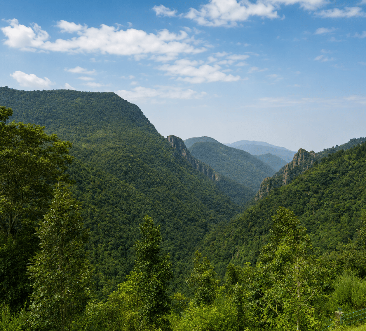 Forested hills, deep valleys and rocky outcrops of Daringbadi, a hill station in Kandhamal district, near MAYFAIR Palm Beach Resort, Gopalpur-on-Sea.