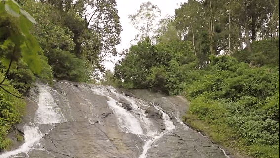An overview of a waterfall cascading down the rocks with trees above it.